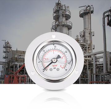 Petrokemijska industrija Pressure Gauges